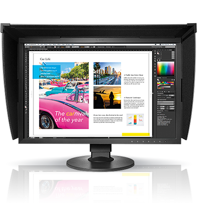 Eizo ColorEdge CG2420-BK Monitor