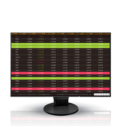 Eizo FlexScan EV2456FX-BK Monitor