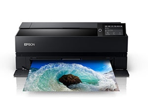 Epson SureColor P900