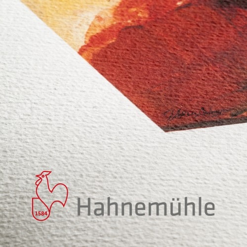 Hahnemuhle Albrecht Durer 210gsm 24 in x 39 ft Roll